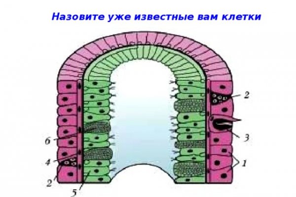 Что такое кракен сайт в россии