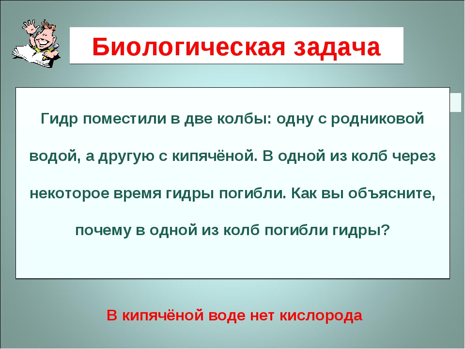 Официальный сайт даркнета