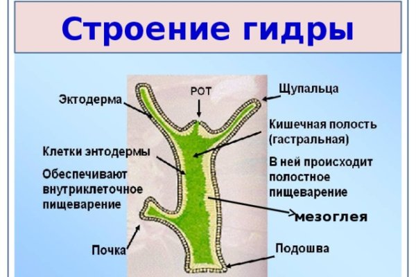 Нарко магазин кракен