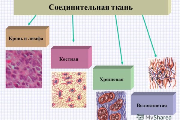 Kraken пользователь не найден при входе