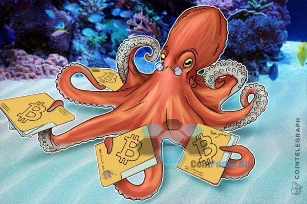 Kraken что это за магазин