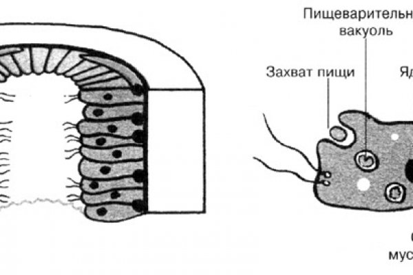 Кракен нарко